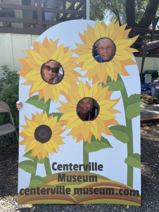 Gallery 1 - Faces in sunflower cutout